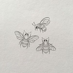 Meet your Posher, Lacy